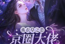 (全文)薰衣草之恋,京圈大佬暗恋我免费小说全本,宁清灵试读更新章节-逐鹿文学