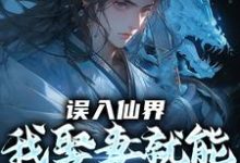 (全文)误入仙界，我娶妻就能天下无敌(许世安)全本免费在线阅读-逐鹿文学