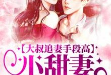 大叔追妻手段高，小甜妻逃不掉热门小说排行榜大叔追妻手段高，小甜妻逃不掉叶柠谢聿礼免费小说全本-逐鹿文学