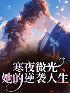 寒夜微光：她的逆袭人生热门小说排行榜寒夜微光：她的逆袭人生袁小苔免费小说全本