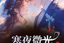 寒夜微光:她的逆袭人生袁小苔最新完结小说,寒夜微光:她的逆袭人生全本免费在线阅读-逐鹿文学