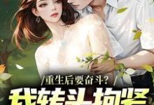 (全文)重生后要奋斗？我转头抱紧富婆大腿李子玉全本免费在线阅读-逐鹿文学