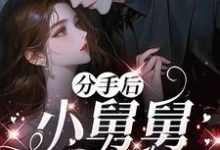 (全文)分手后，小舅舅夜夜洗床单完结小说推荐沈锦悦全本书籍阅读-逐鹿文学