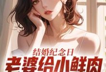 (全文)结婚纪念日，老婆给小鲜肉打榜应援完结小说推荐叶一帆全本书籍阅读-逐鹿文学