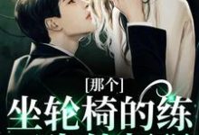 那个坐轮椅的练习生他超强江北生完结小说推荐，那个坐轮椅的练习生他超强全章小说阅读-逐鹿文学