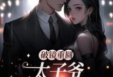 (全文)破镜重圆:太子爷他太霸道(黎念靳宴深)免费小说破镜重圆:太子爷他太霸道试读更新章节-逐鹿文学