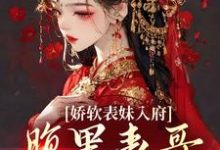 娇软表妹入府：腹黑表哥沦陷了（沈云婉）全本书籍阅读娇软表妹入府：腹黑表哥沦陷了完整版小说-逐鹿文学