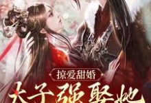掠爱甜婚：太子强娶她入东宫（贺玥）全章小说阅读-逐鹿文学
