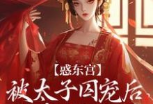 (全文)惑东宫:被太子囚宠后,她权倾天下热门小说排行榜,惑东宫:被太子囚宠后,她权倾天下陆菀音全章小说阅读-逐鹿文学