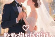 (全文)默默掏出结婚证,我的老公好奶免费小说全本,宋禧试读更新章节-逐鹿文学