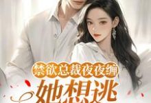 (全文)禁欲总裁夜夜缠，她想逃却逃不掉​​完结小说推荐温澜全本书籍阅读-逐鹿文学
