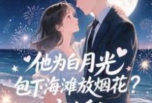 他为白月光包下海滩放烟花?离婚!(霍宴州云初)全本书籍阅读他为白月光包下海滩放烟花?离婚!完整版小说-逐鹿文学