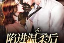 陷进温柔后，他宠上瘾了热门小说排行榜陷进温柔后，他宠上瘾了甘棠许应免费小说全本-逐鹿文学