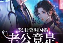 (全文)怒甩渣男闪婚，老公竟是千亿太子爷云晚最新完结小说怒甩渣男闪婚，老公竟是千亿太子爷免费阅读-逐鹿文学