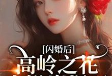 (全文)闪婚后，高岭之花人设崩塌了苏酥完结小说推荐闪婚后，高岭之花人设崩塌了试读更新章节-逐鹿文学