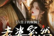 六皇子的烦恼：老婆突然不瞎了谢成君免费小说六皇子的烦恼：老婆突然不瞎了推荐完结小说-逐鹿文学