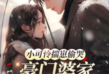 小可怜揣崽偷哭，豪门婆家来团宠（苏念念）全本书籍阅读小可怜揣崽偷哭，豪门婆家来团宠完整版小说-逐鹿文学