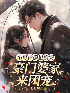 小可怜揣崽偷哭，豪门婆家来团宠（苏念念）全章小说阅读