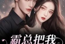 霸总把我当替身后，他真的后悔了完整版小说，霸总把我当替身后，他真的后悔了白筱帆盛延全章小说阅读-逐鹿文学