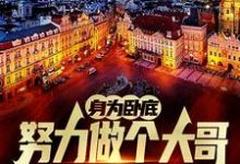 身为卧底，努力做个大哥不过分吧推荐完结小说身为卧底，努力做个大哥不过分吧(白舟)免费小说全本-逐鹿文学