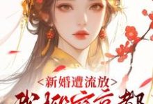 (全文)新婚遭流放,我搬空京都去逃荒完结小说推荐桑晚柠全本书籍阅读-逐鹿文学