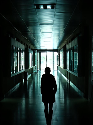 林子枫纳兰若雪小说完结版在线阅读,无敌后,国家请我出狱免费看