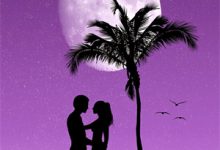 完结版《七年婚纱梦成空》在线免费阅读-逐鹿文学