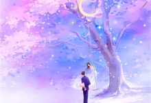 前妻撩人,顾总每天都在求复婚!沈榆沈见欢顾行衍小说完结版章节在线阅读-逐鹿文学