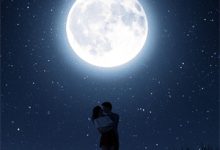 《儿子的幼儿园老师道德批判我,就为了嫁给我》小说林序林序怀章节章节免费在线阅读-逐鹿文学