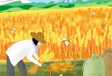 求灯火阑珊，你已不在小说的全文免费阅读链接-逐鹿文学